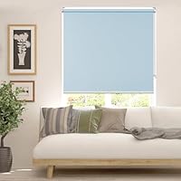 Amazon｜FHSBlinds ロールスクリーン ロールカーテン FHSBlinds 1級